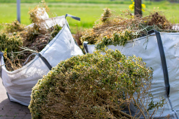 Best Garage Cleanout  in Mills River, NC